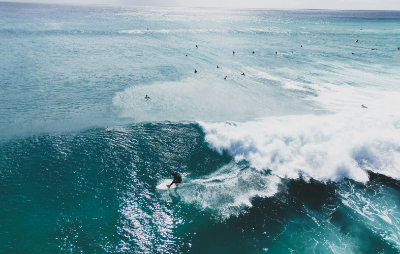 Escuelas de surf en Fuerteventura - Surf Canarias surf canarias