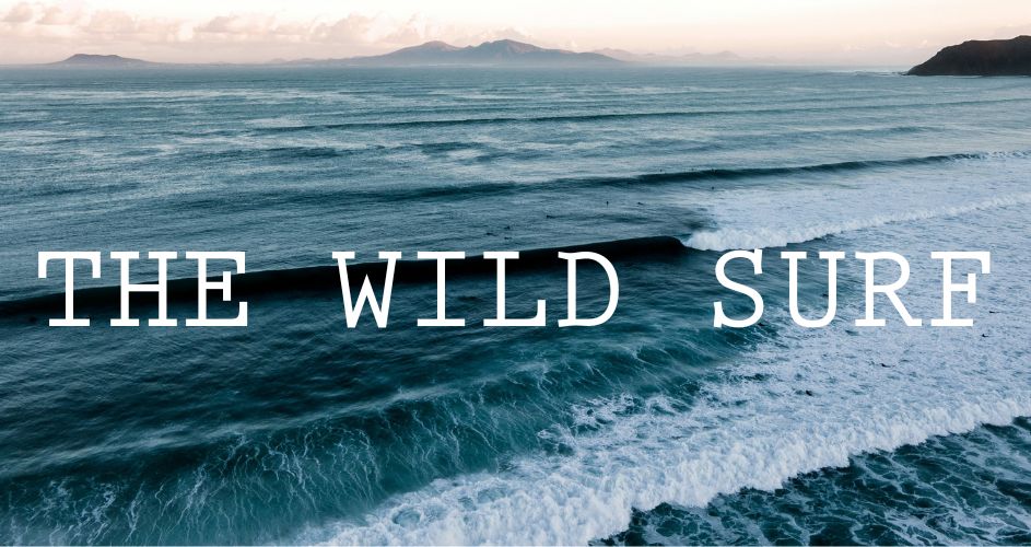 The Wild Surf surf school. Escuelas de surf en Fuerteventura. Surf Canarias