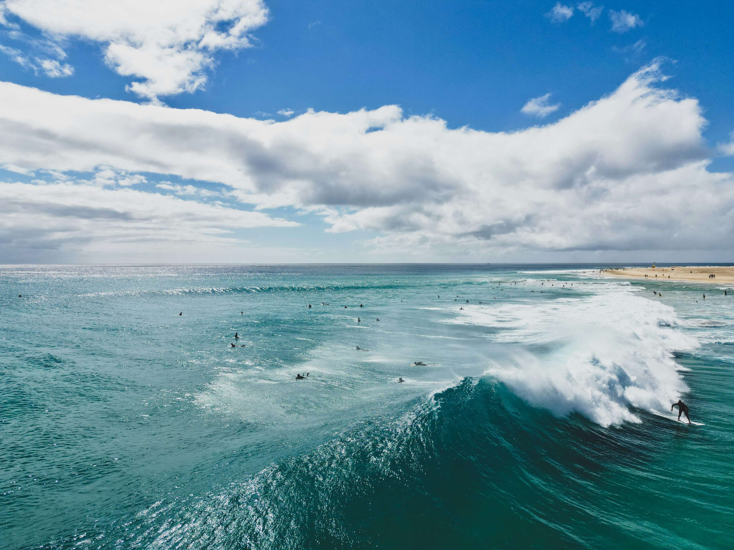surf camp fuerteventura - surf canarias Surf camp en Fuerteventura - Surf Canarias